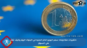 «تغيرات مفاجئة» سعر اليورو أمام الجنيه في البنوك اليوم وكيف تؤثر على السوق